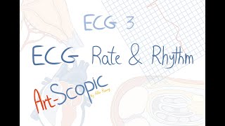 ECG 3 Rate and rhythm [upl. by Arst]