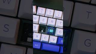 Azure Dragon V3 from Gateron sound test shorts keyboard gateron mechanicalkeyboard [upl. by Naga]