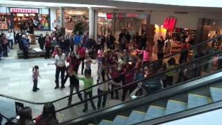 Flashmob Proposal  Bruno Mars quotMarry youquot  IPAA Take two [upl. by Olinde786]