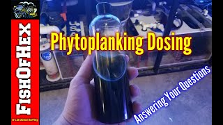 Dosing Phytoplankton  Answering Your Questions [upl. by Brigida]