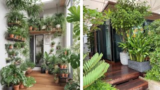 Indoor Garden decor ideas with plants [upl. by Melly]