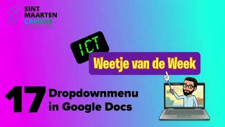 WvdW 17 Dropdownmenu in Google Documenten [upl. by Shanly]