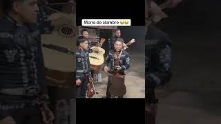 El mono de alambre ahora si se pasó el mariachi bailarías esto 😤🤬 [upl. by Downs]