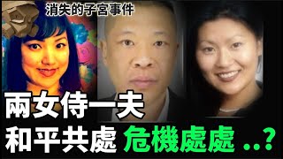 「粵語廣東話」兩女共侍一夫  和平共處  還是危機處處   身體發現之後 子宮不翼而飛  消失的子宮事件  聽播版本【頭盔說案】 [upl. by Ayiotal325]