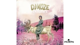 DJ Koze  My Plans PAMPACD007 [upl. by Morentz]