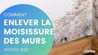 22 Comment Enlever la Moisissure des Murs [upl. by Ely874]