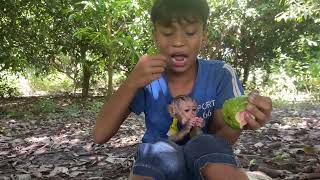 Pr lux so hunqry amp enjoy eatinq trabek fruit with his brother ly [upl. by Stovall]