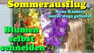 Die Panasonic Lumix DC TZ91 unterwegs im Test  Familien Sommerausflug ins Selbstpflück Blumenbeet [upl. by Crocker]