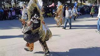 Carnaval San Agustín Tlaxco 2024 [upl. by Nnairak]