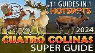 Best Spot for Red Deer on Cuatro Colinas [upl. by Noreht]