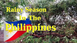 Rainy Season in the Philippines [upl. by Galer]