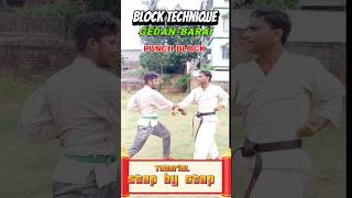 Karate Block Tricks technique karate taekwondo block power shorts 🥋😱 [upl. by Elpmet]