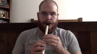 Camptown Races  Tin Whistle [upl. by Lassiter767]