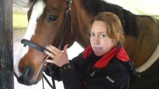 HOW TO Fit A Cavesson Bridle  GG Eventing [upl. by Maurizio788]