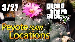 GTA 5  Peyote Plant Locations 0327 [upl. by Ahseenal]