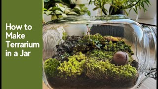 How to Make Closed Terrarium in a Glass Jar  Mini ecosystem [upl. by Madonna]