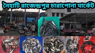 রাজেন্দ্রপুর চারাপোনা মার্কেট  Naihati Charapona Market  Naihati Rajendrapur Charapona Market [upl. by Nautna]