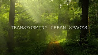 quotTwoYear Transformation Urban Food Forest Thrives in Africa” Zambia 🇿🇲 [upl. by Humfried599]