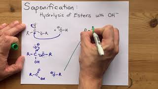 Saponification Hydrolysis of Esters with OH [upl. by Herschel]