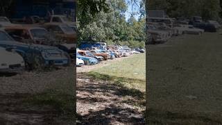 BARN FINDS  Junkyard Full of Old PontiacsFord CamarosMustangsCadillacs and More automobile [upl. by Ehgit]