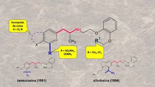 SolifenacinaTamsulosina padecimientos urinarios síntesis introduccuón [upl. by Alam]