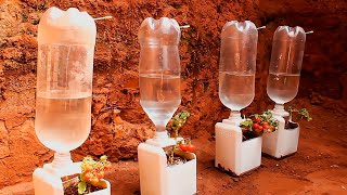 Como hacer Riego por Goteo con botellas de plástico Reciclado Rick Garden [upl. by Mart]