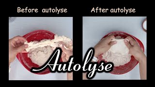 Autolyse How to make better sourdough bread [upl. by Wan]