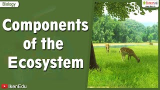 Components of the Ecosystem  Science videos  iKen  iKen Edu  iKen App [upl. by Kelby89]