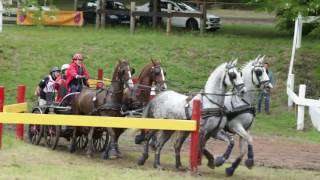 32e Concours dAttelage International 26 mn Maraton 2016 [upl. by Ric]