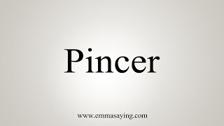 How To Say Pincer [upl. by Evy]