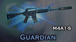 Guardian M4A1S StatTrak stickers skin preview FNMWFTWWBS [upl. by Eiroc]