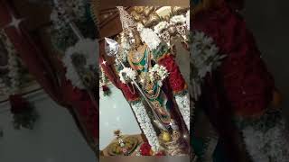 திருப்புகழ்murugan songs trending shorts devotionalsongs RMCreation22723 [upl. by Codel]