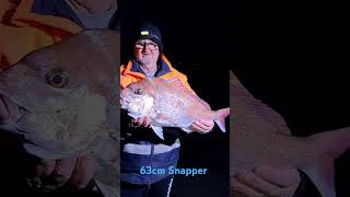 63cm Snapper Caught Fishing LandBased 🎣 [upl. by Llerred589]