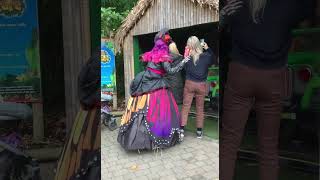 Witch live actor surprises visitors  Drusillas Park character performer Halloween [upl. by Sirac]