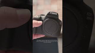 Does the Canon 2000D Have a Dual SD Card Slot [upl. by Vtehsta]