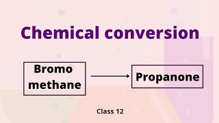 Bromomethane to propanone  chemical conversion  class 12  organic chemistry [upl. by Hamehseer288]