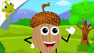 Im a Nut Nursery Rhyme for Kids [upl. by Coreen]