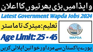 Wapda Govt Jobs 2024 Apply Online  Latest Vacancies in Wapda 2024  Today Wapda Jobs Update [upl. by Volding170]