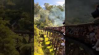 The Puffing Billy “Australia’s favourite steam train” 🚂📍Melbourne Australia 🇦🇺📸 1amny steamtrains [upl. by Inalaehak]