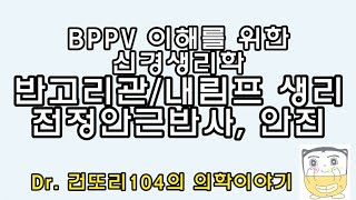 세반고리관유모세포내림프 생리학과 전정안근안구반사vestibuloocular reflex 신경회로 vestibular nystagmus전정안진 [upl. by Ogir]