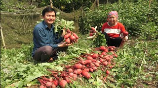 Harvesting red radishes with my mother Robert  Green forest life [upl. by Eloken]