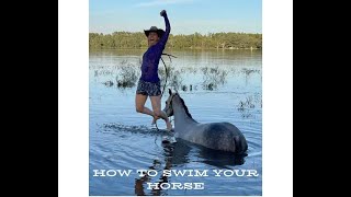 How To Swim Your Horse [upl. by Neit]