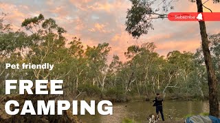 Mitchellstown  Nagambie  Fishing  Pet Friendly Free Bush Camping [upl. by Naujuj]