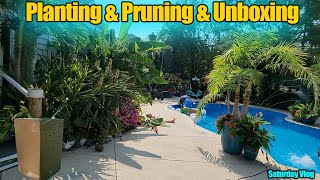 Garden Chores  New Hedge  Unboxing and Planting New Plants From Conifer Kingdom  Saturday Vlog [upl. by Audrye]