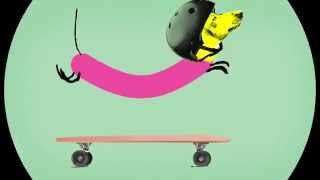 Wiener Dog Riding A Skateboard Animation [upl. by Ahsiemat]