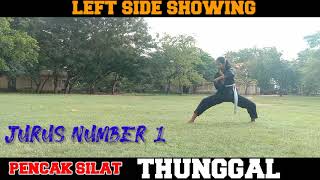 PENCAK SILAT MARTIAL ARTS THUNGGAL  JURUS 7 STEPS [upl. by Sessler]