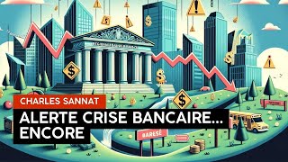 Alerte Nouvelle Crise Bancaire  Ce Que Vous Devez Savoir [upl. by Lefton]