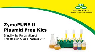 Protocol Plasmid Purification In Just 20 Minutes  Zymo Research [upl. by Elletnahs785]