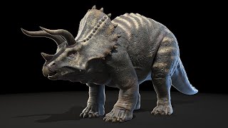 Triceratops Dinosaur [upl. by Eleik]