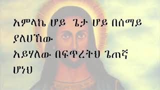 ጌታየ ሆይ አምላኬ ሆይ በሰማይ ያለሀኸው  Zemarit Mirtnesh Tilahun Orthododx Mezmur [upl. by Yaj959]